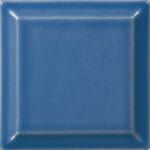 22202 Pomněnka lesklá